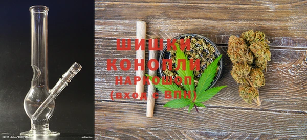 PSILOCYBIN Армянск