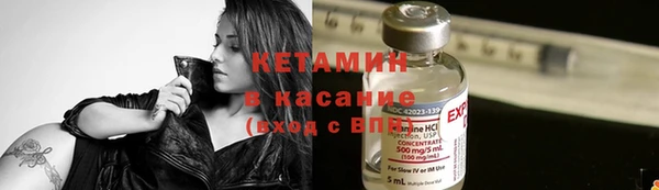 крисы Аркадак