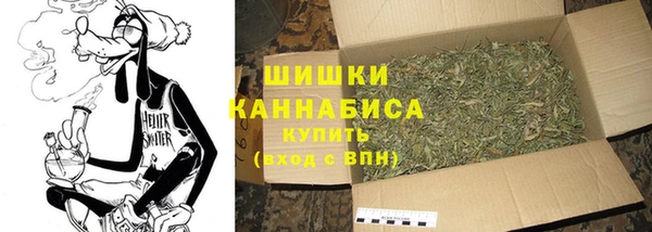 PSILOCYBIN Армянск