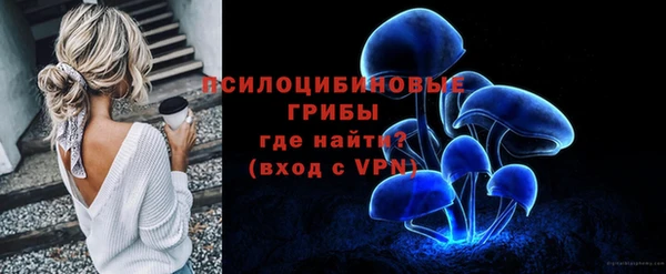PSILOCYBIN Армянск