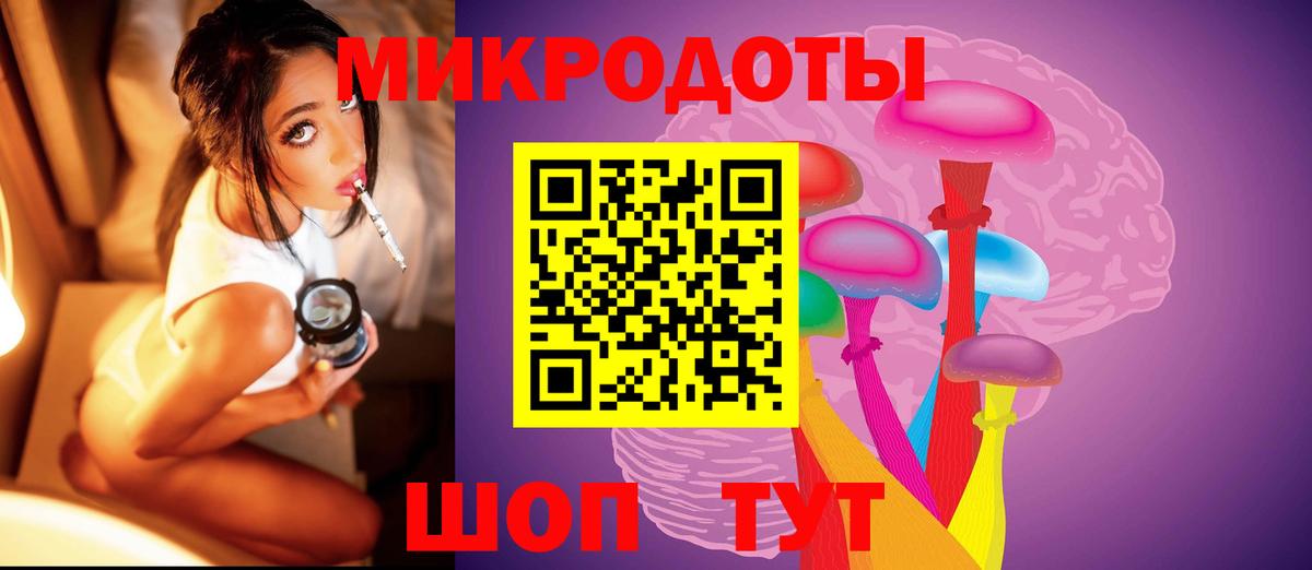 Псилоцибиновые грибы Cubensis Каспийск