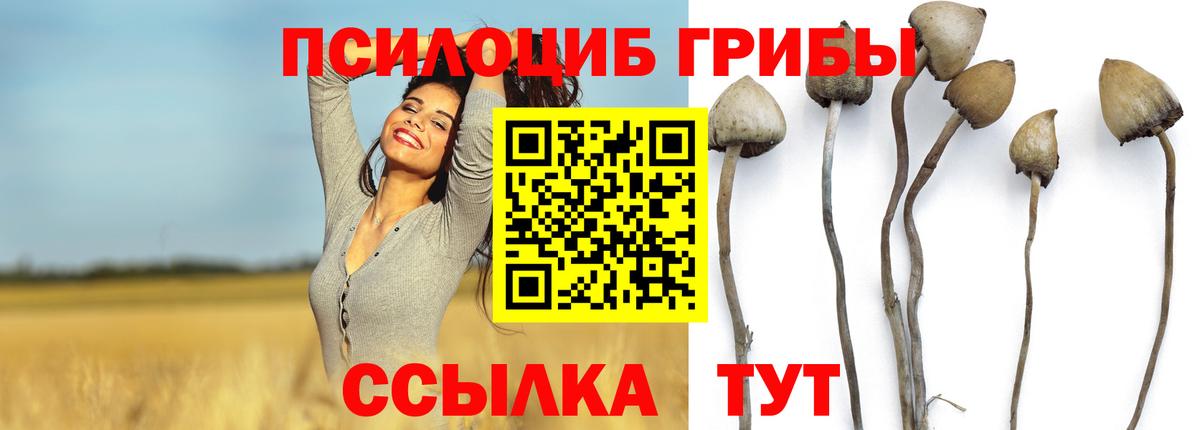 Каспийск  купить наркотики цена  Галлюциногенные грибы GOLDEN TEACHER  Вход с VPN  Галлюциногенные грибы мицелий 